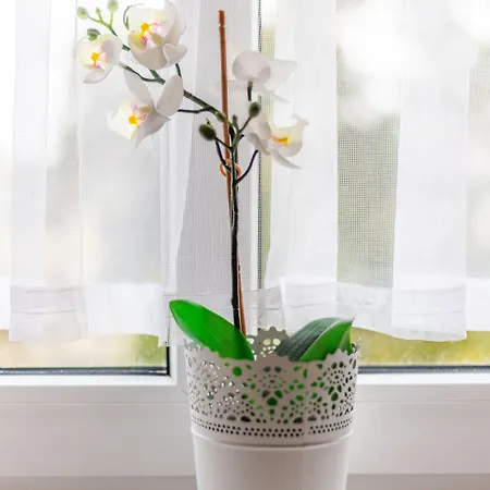 Victus Apartamenty, Victus Meru * Сопот